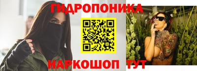 гидропоника Будённовск