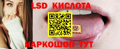 гидропоника Будённовск